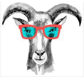 Send a Friend A Goat FAQ – Wishing Star Foundation